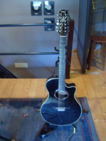 12 String Guitar